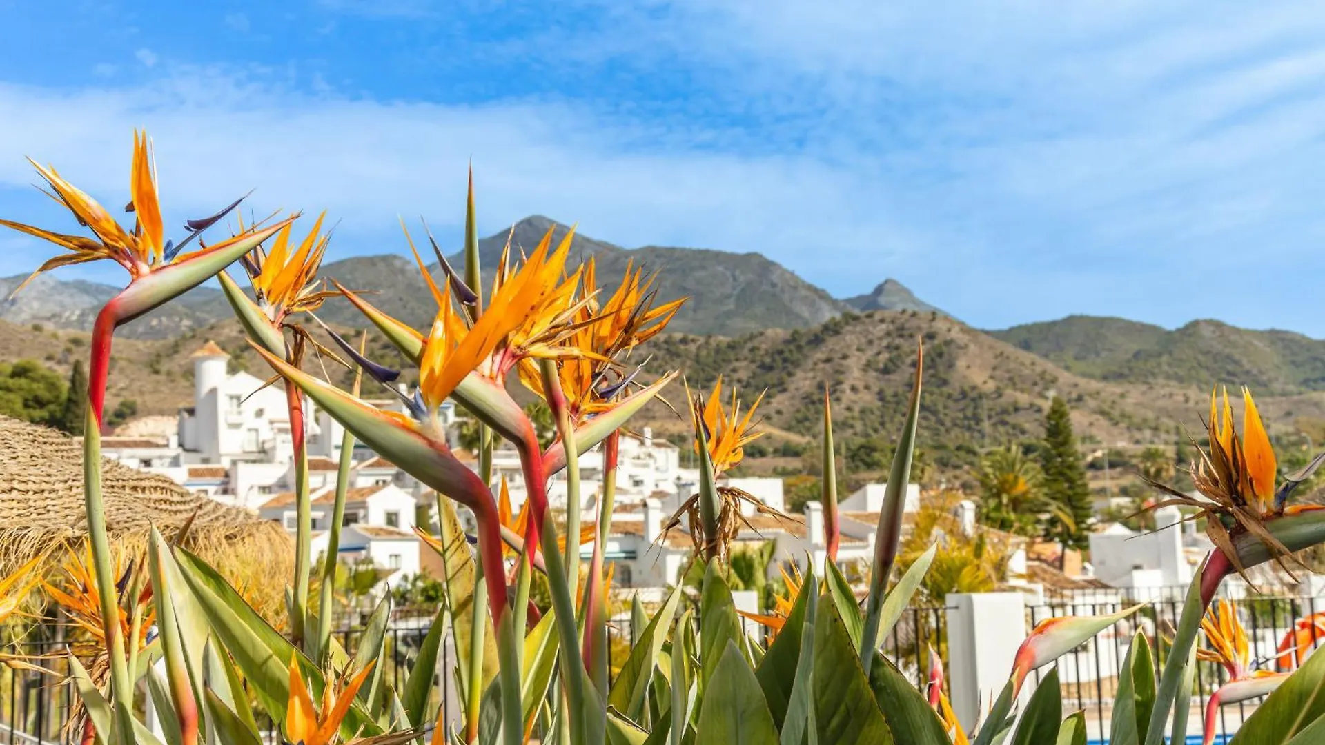 Casablanca 25 Oasis Properties Nerja